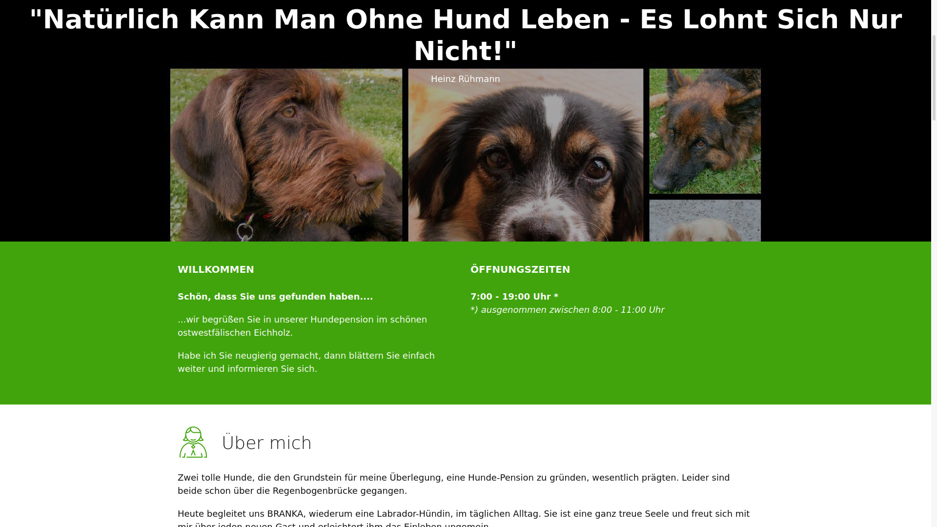 Hundepension Brandt